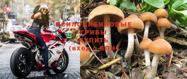 тгк Балахна
