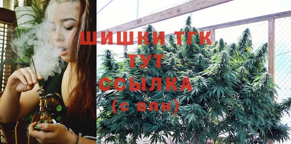 тгк Балахна