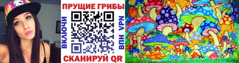 Псилоцибиновые грибы мицелий  сколько стоит  Пласт 